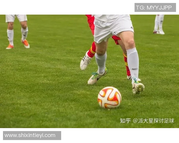 西安飞盘队耐力表现分析及其对比赛成绩的影响探讨