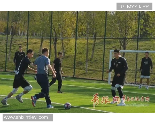 篮球与足球的魅力对比哪种运动更适合你和你的生活方式