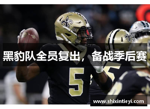 黑豹队全员复出，备战季后赛