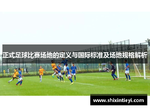 正式足球比赛场地的定义与国际标准及场地规格解析