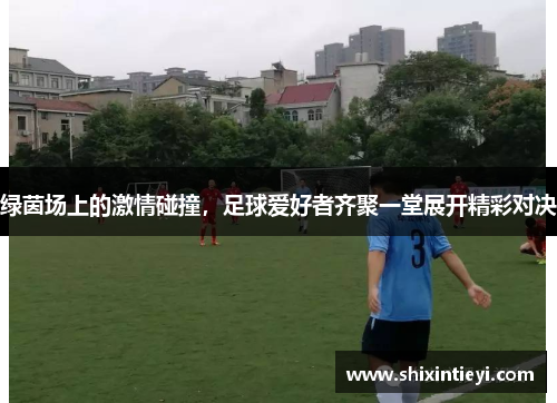 绿茵场上的激情碰撞，足球爱好者齐聚一堂展开精彩对决