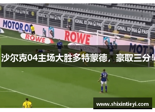 沙尔克04主场大胜多特蒙德，豪取三分！